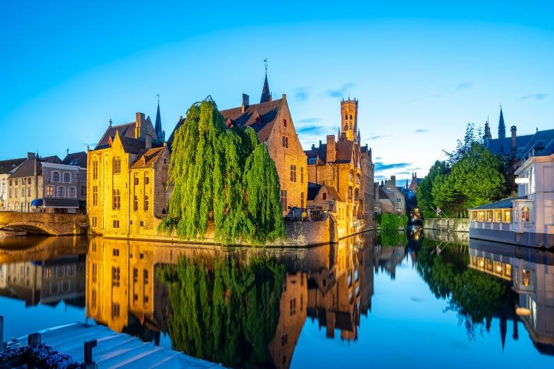 belgian translation market