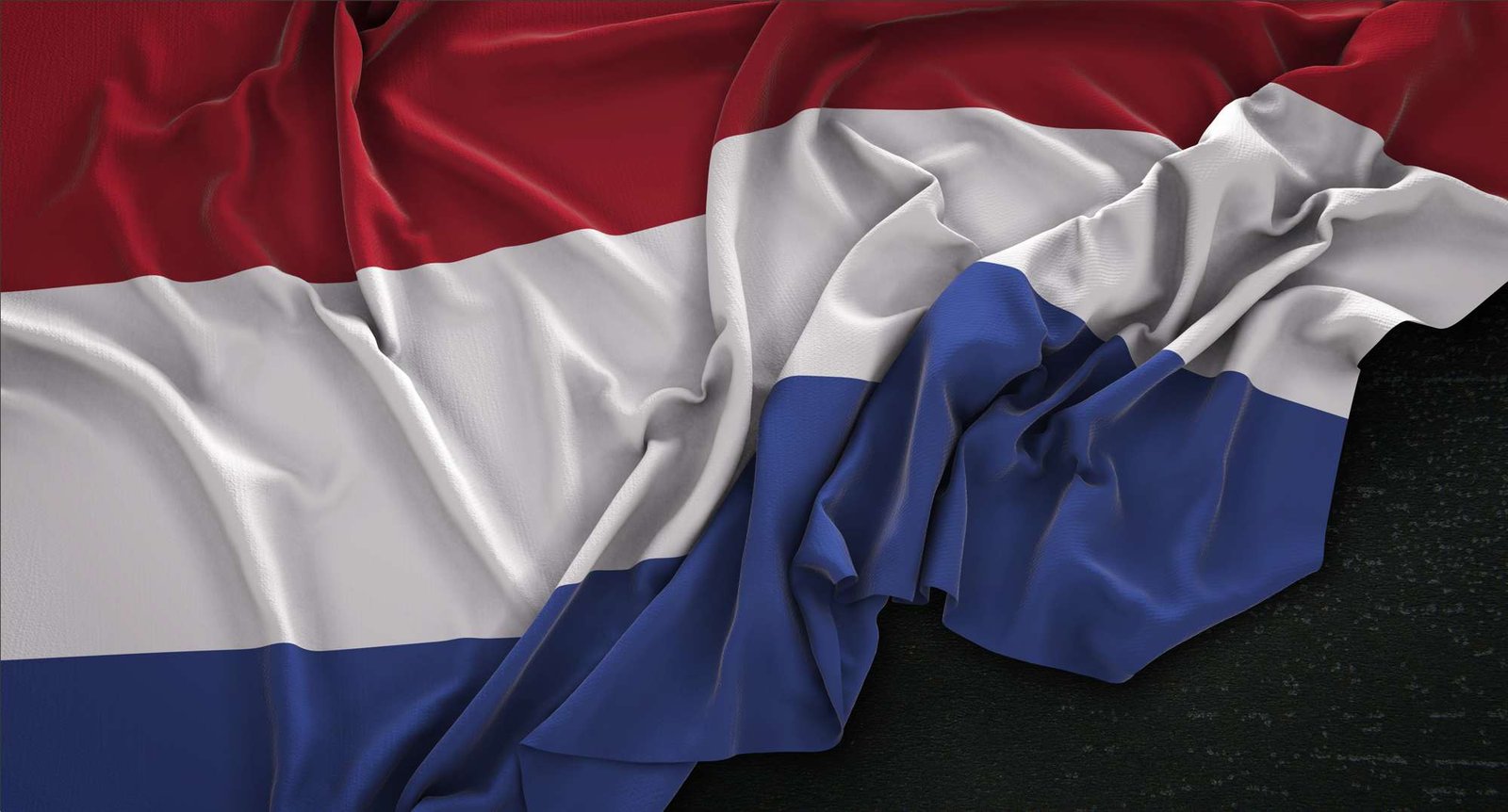 Dutch translation services