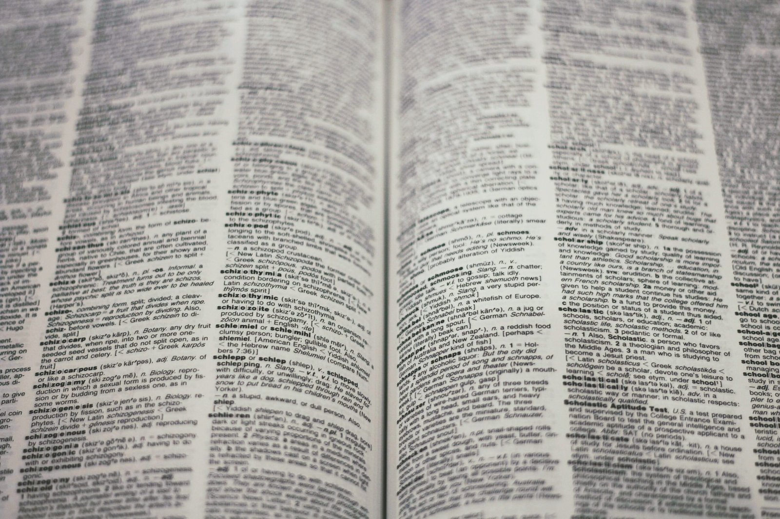 Future of Translation